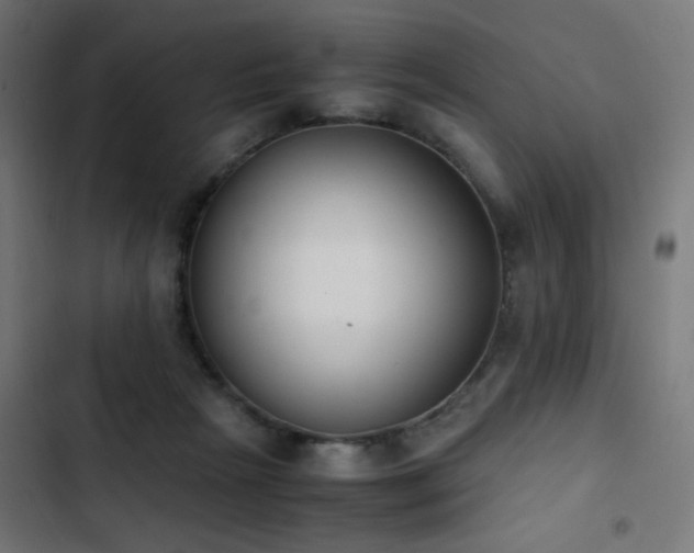 X0000103450265200809121435