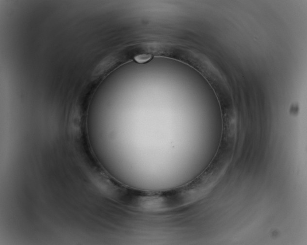 X0000103450266200809121435