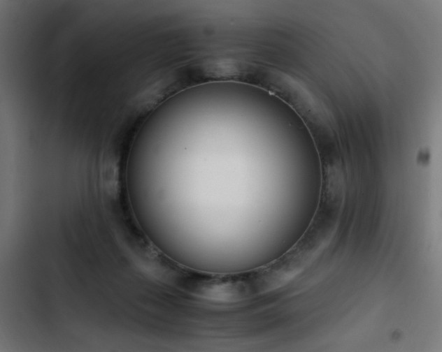 X0000103450267200809121435