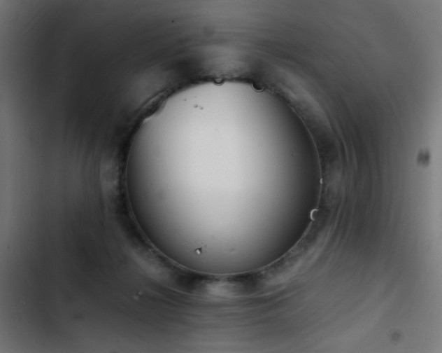 X0000103450268200809121435