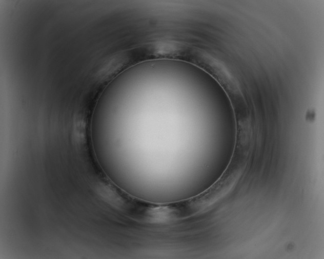 X0000103450269200809121435