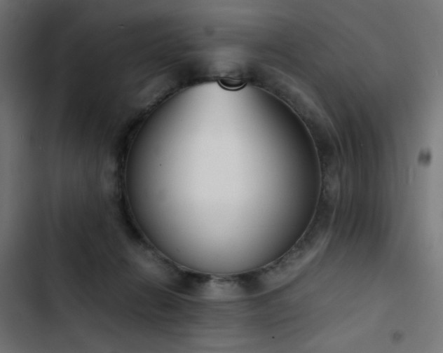 X0000103450270200809121435