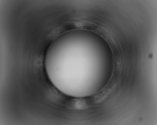X0000103450275200809121435