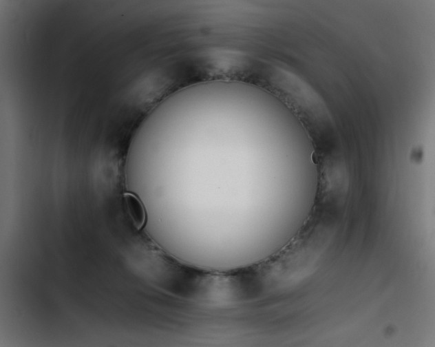 X0000103450276200809121435