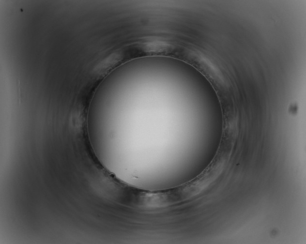 X0000103450277200809121435