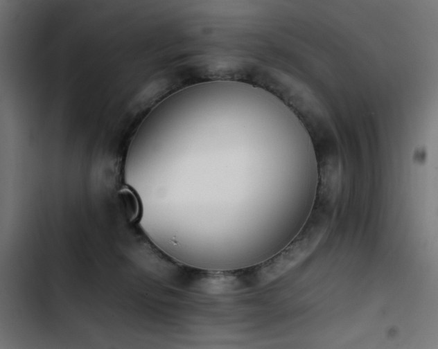 X0000103450278200809121435