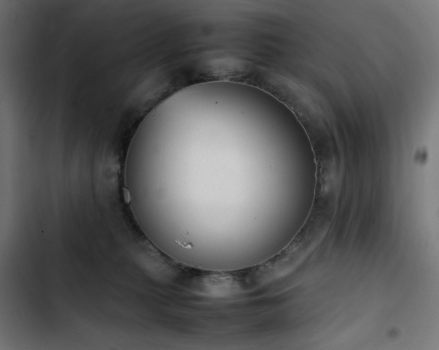 X0000103450279200809121435