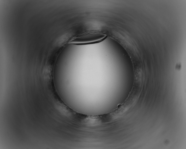 X0000103450280200809121435