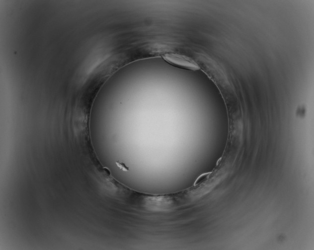 X0000103450281200809121435