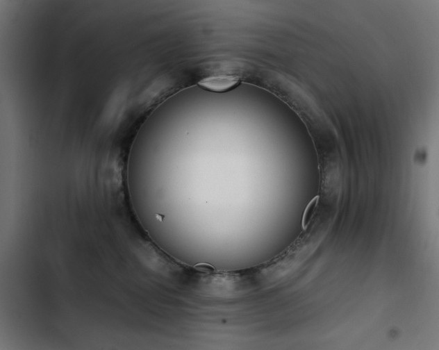 X0000103450282200809121435