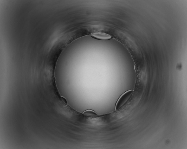 X0000103450283200809121435