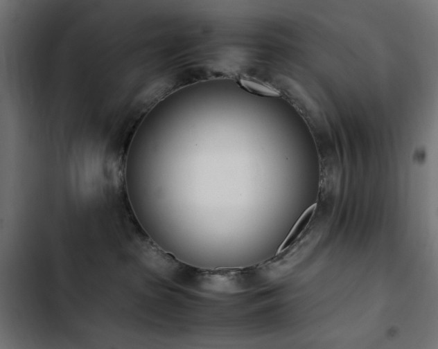 X0000103450285200809121435