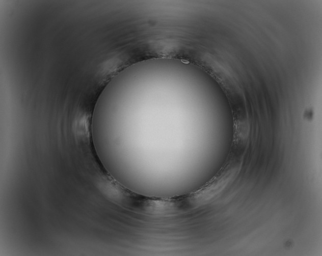 X0000103450286200809121435