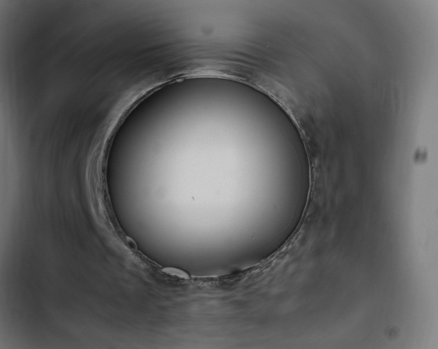 X0000103450289200809121434