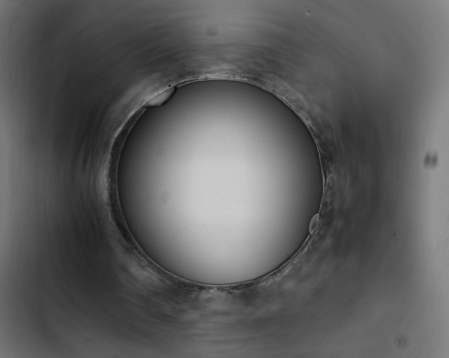 X0000103450290200809121434