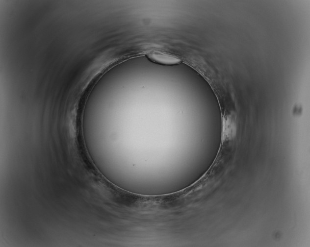 X0000103450291200809121434