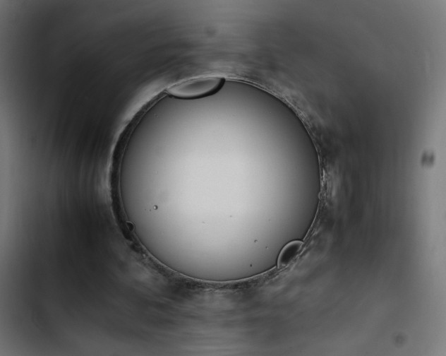 X0000103450292200809121434