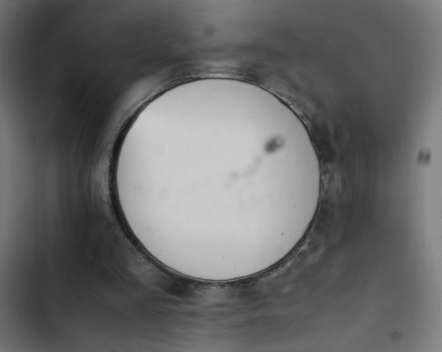X0000103450293200809121434