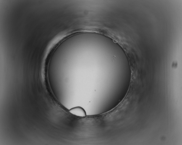 X0000103450294200809121434