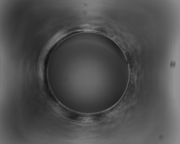 X0000103450295200809121434