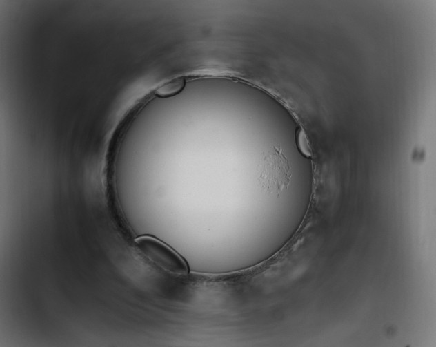 X0000103450296200809121434