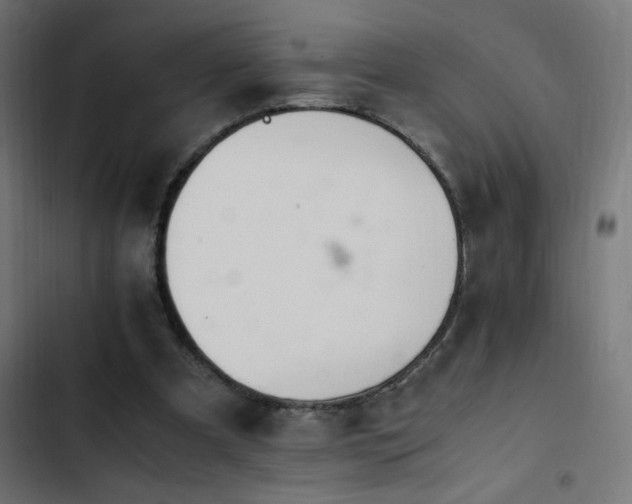 X0000103450297200809121434