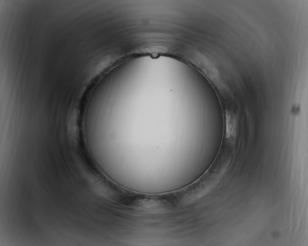X0000103450300200809121434