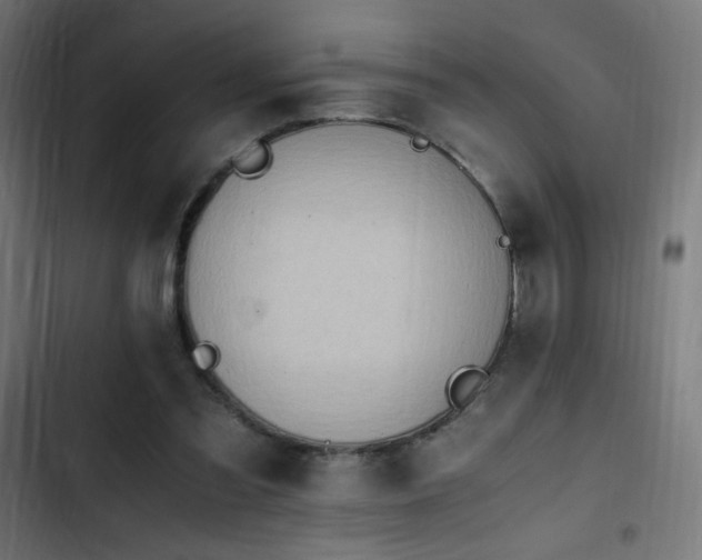 X0000103450301200809121434