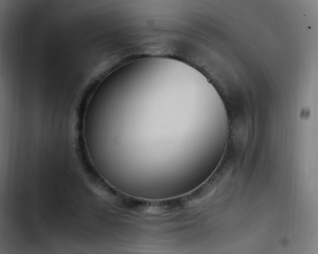 X0000103450303200809121434