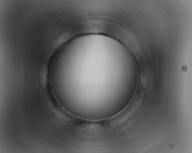 X0000103450304200809121434