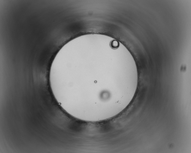 X0000103450305200809121434