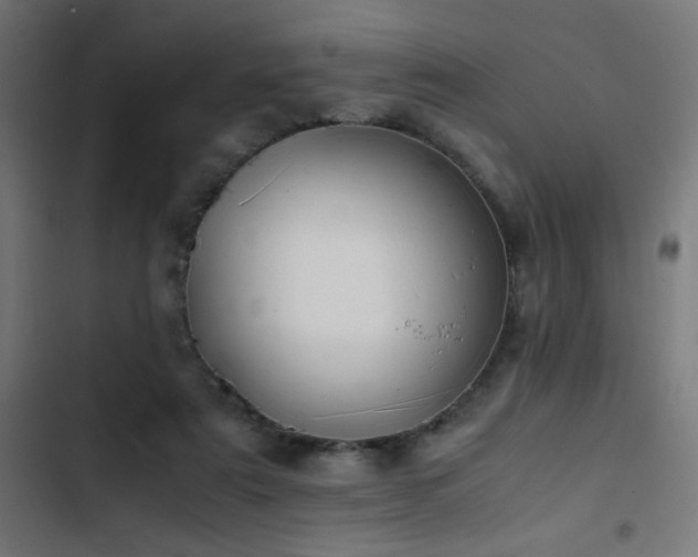 X0000103450307200809121434