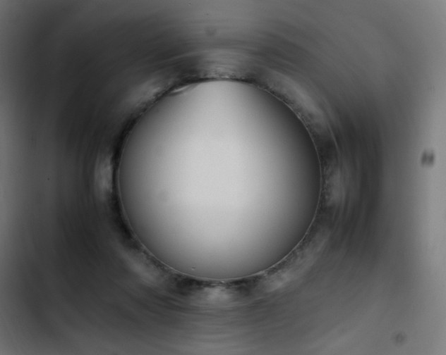 X0000103450310200809121434