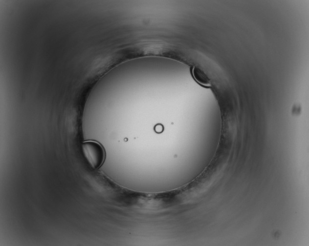 X0000103450311200809121434