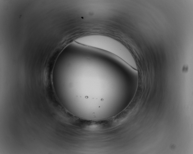 X0000103450312200809121434