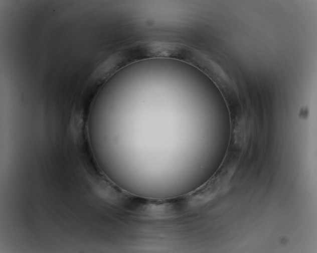 X0000103450314200809121434