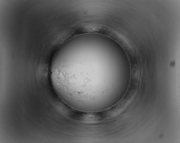 X0000103450315200809121434