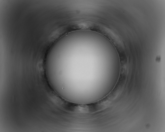 X0000103450317200809121434