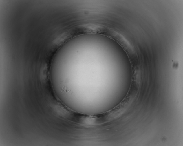 X0000103450318200809121434