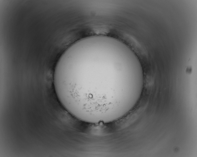 X0000103450321200809121434