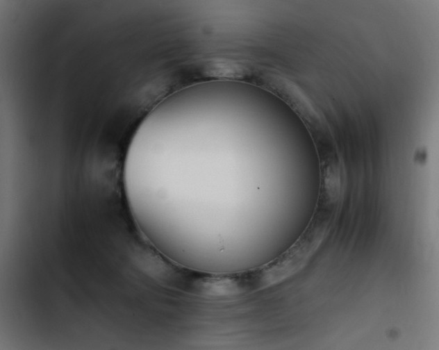 X0000103450322200809121434