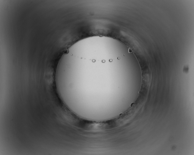 X0000103450323200809121434