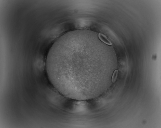 X0000103450324200809121434