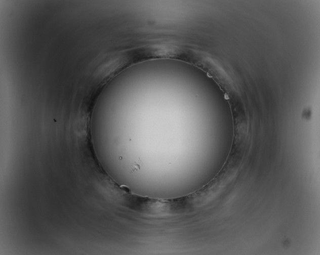 X0000103450325200809121434