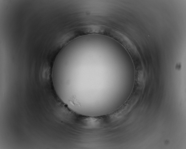 X0000103450326200809121434