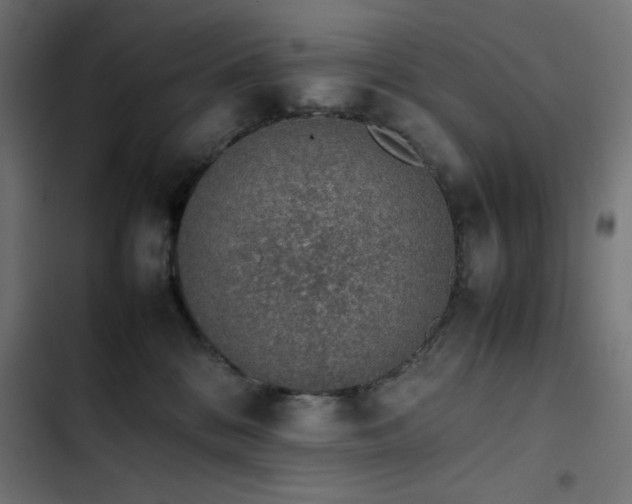 X0000103450328200809121434
