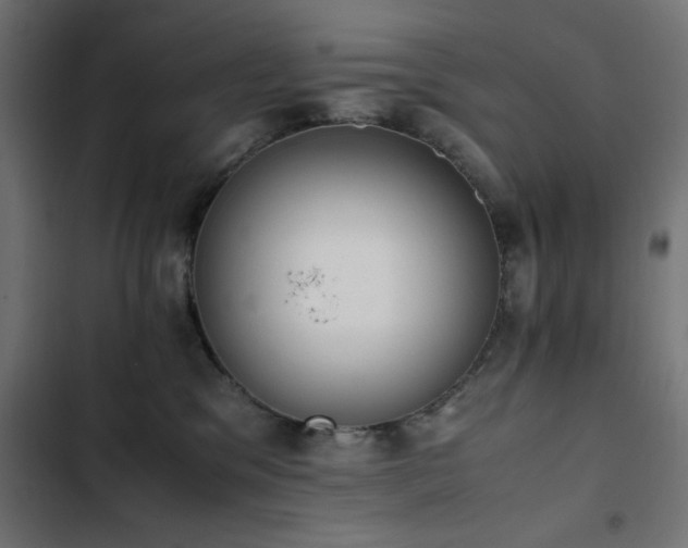 X0000103450329200809121434