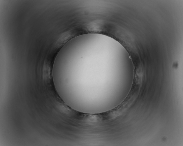 X0000103450330200809121434