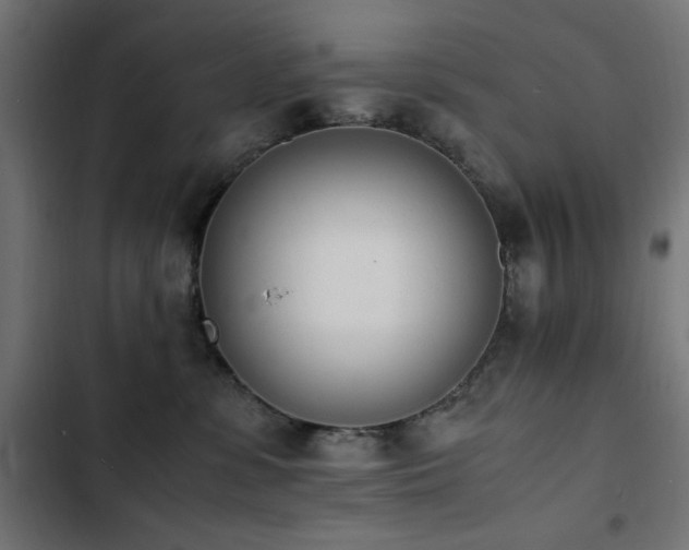 X0000103450331200809121434