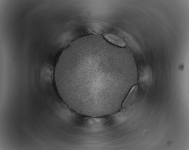 X0000103450332200809121434